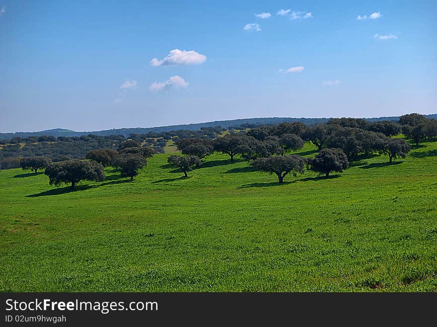 A beautiful view in Alentejo. A beautiful view in Alentejo