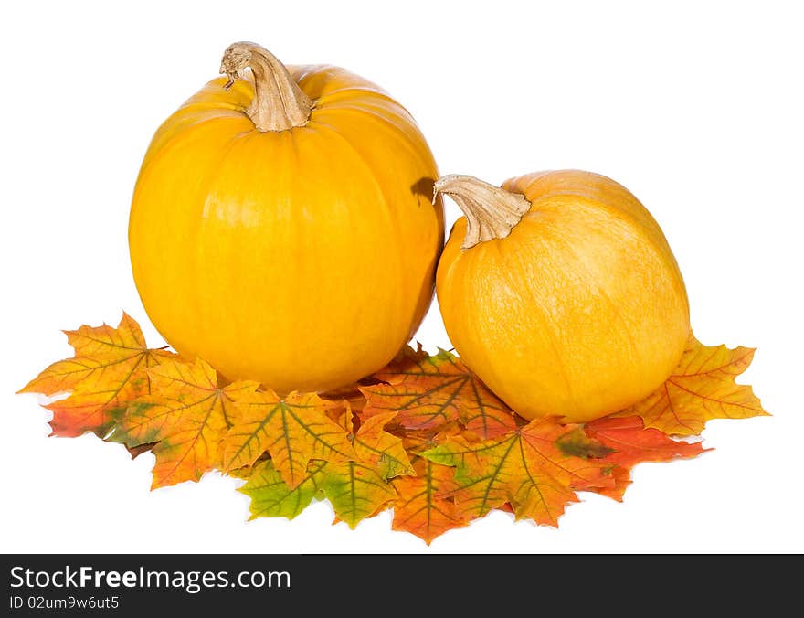 Pumpkins with autumn leaves