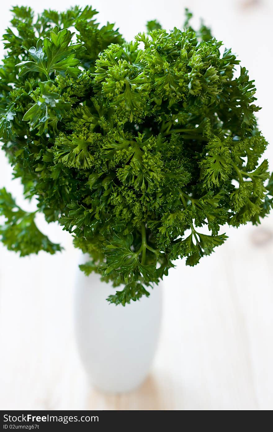 Parsley bouquet in vase on the table