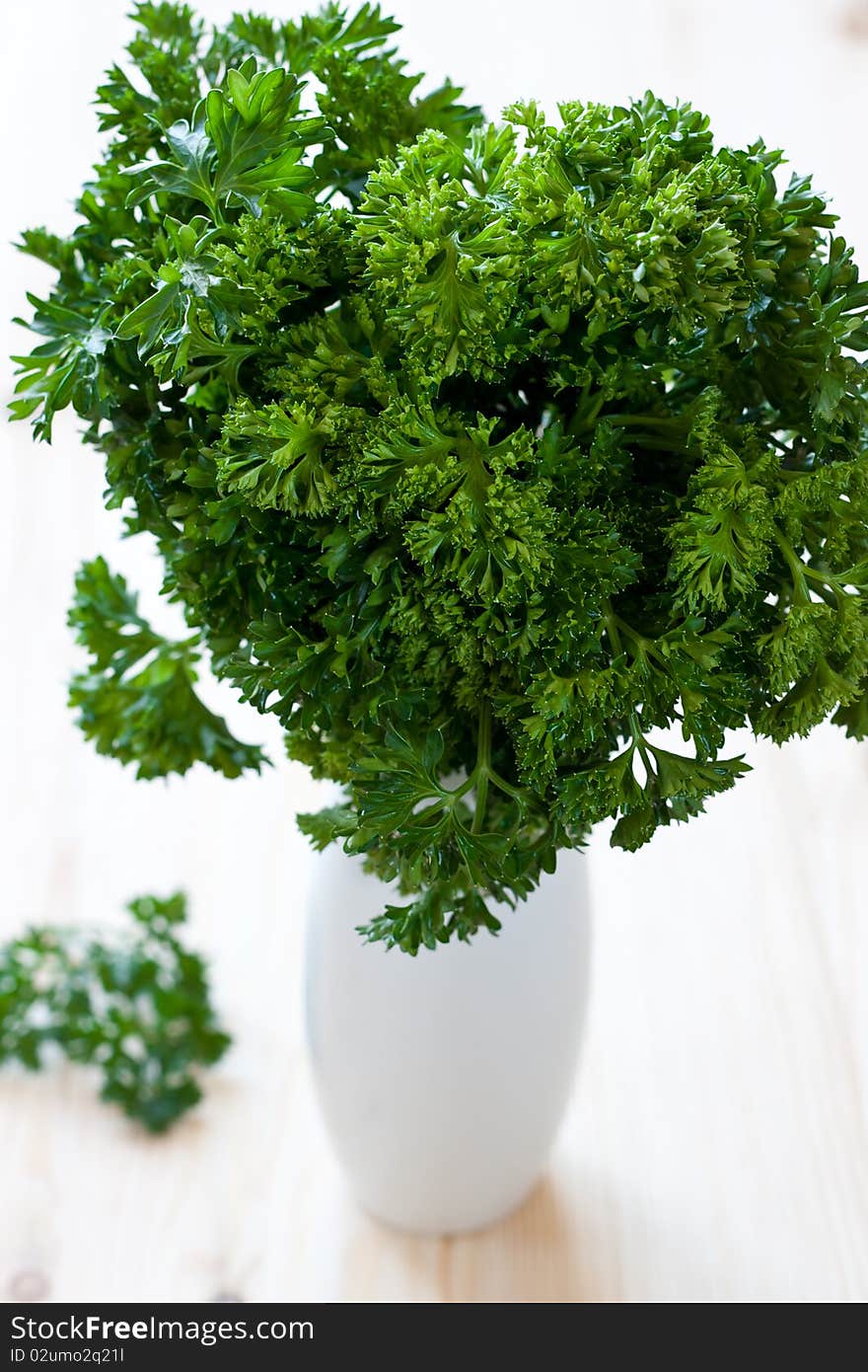 Parsley bouquet in vase on the table