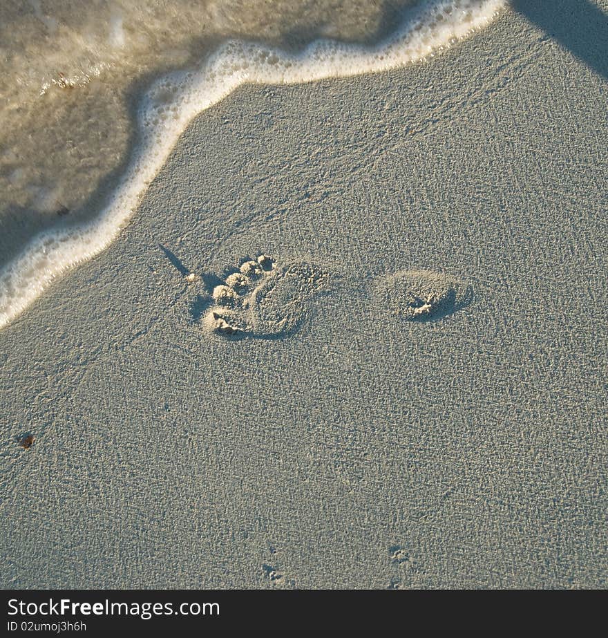 Barefoot On The Beach