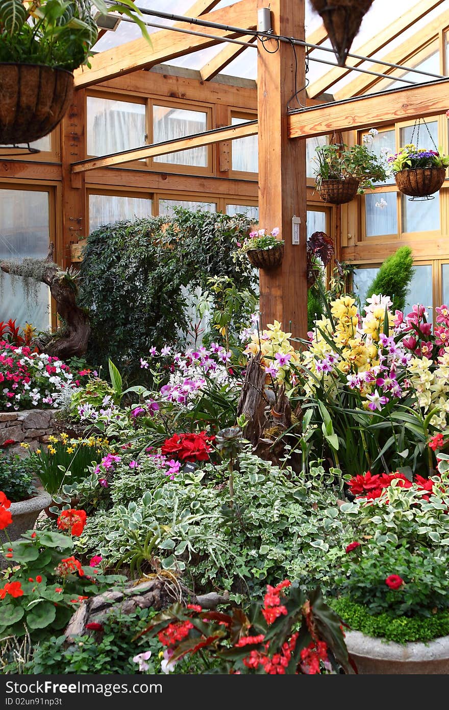 Flowers in Greenhouse