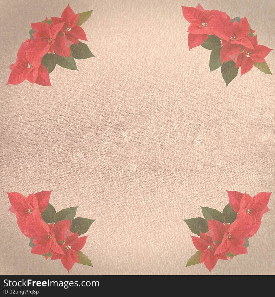 Old paper background with red poinsettia