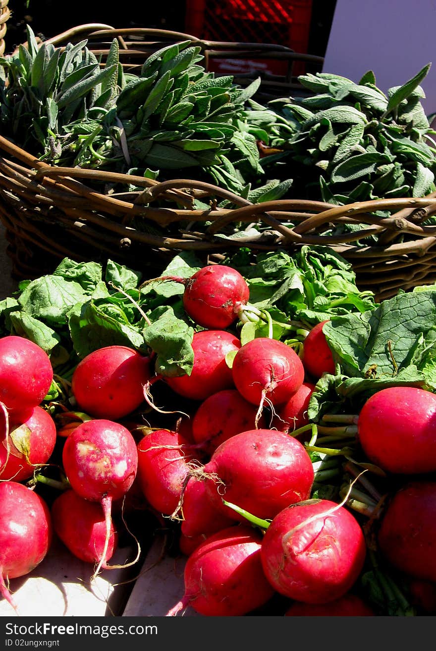 Bunches of bright red radishes on a farmer's market table on a sunny day. Bunches of bright red radishes on a farmer's market table on a sunny day.