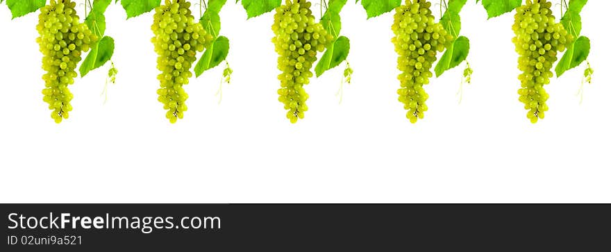 Bunch of grapes isolated on a white background