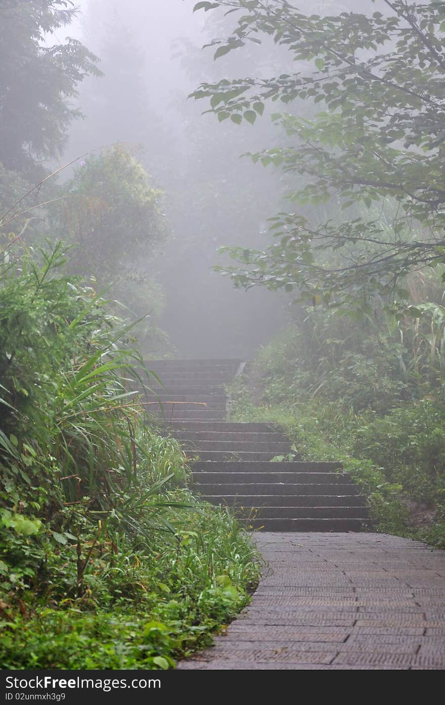 Road and steps in fog