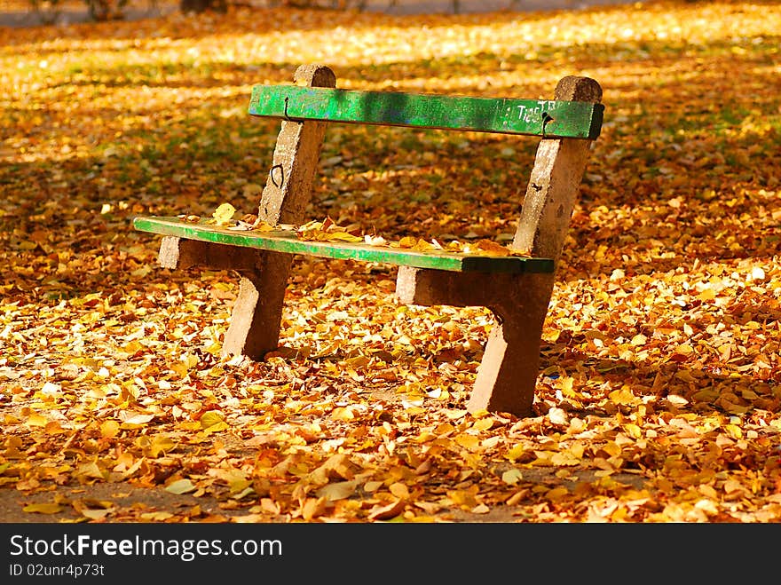 A green bench at the park. A green bench at the park