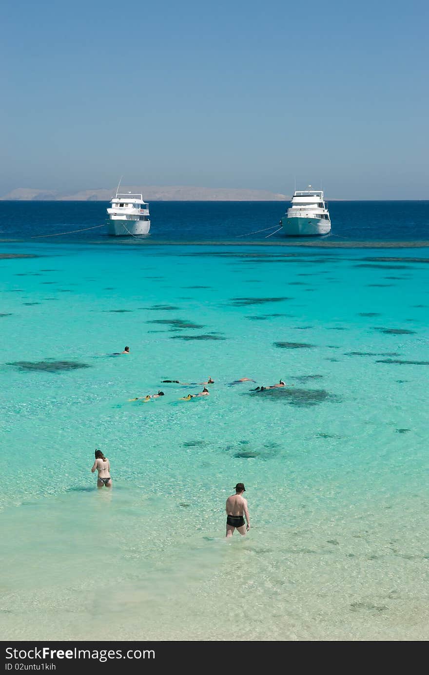 Snorkellers in tropical sea