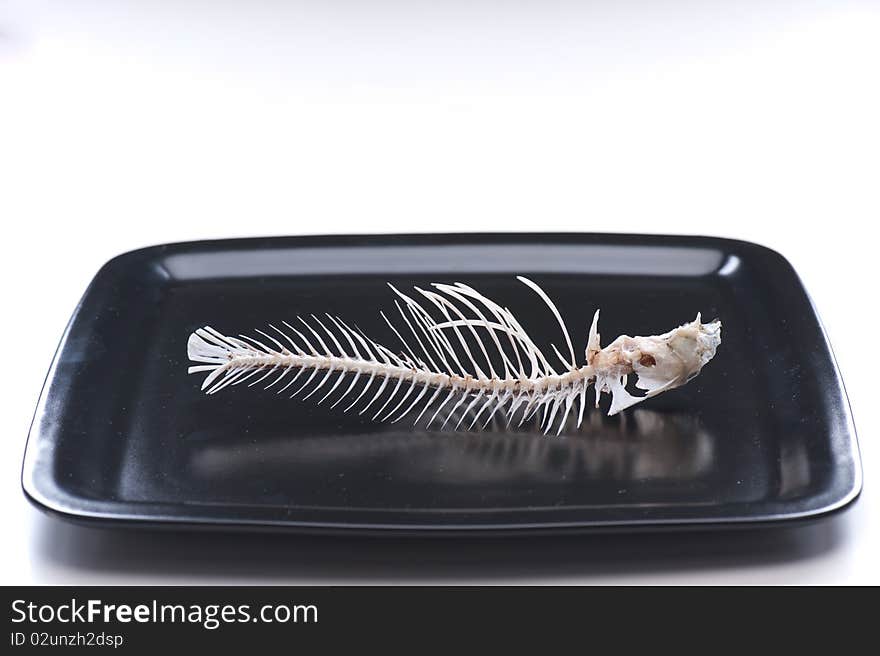 Fish s skeleton