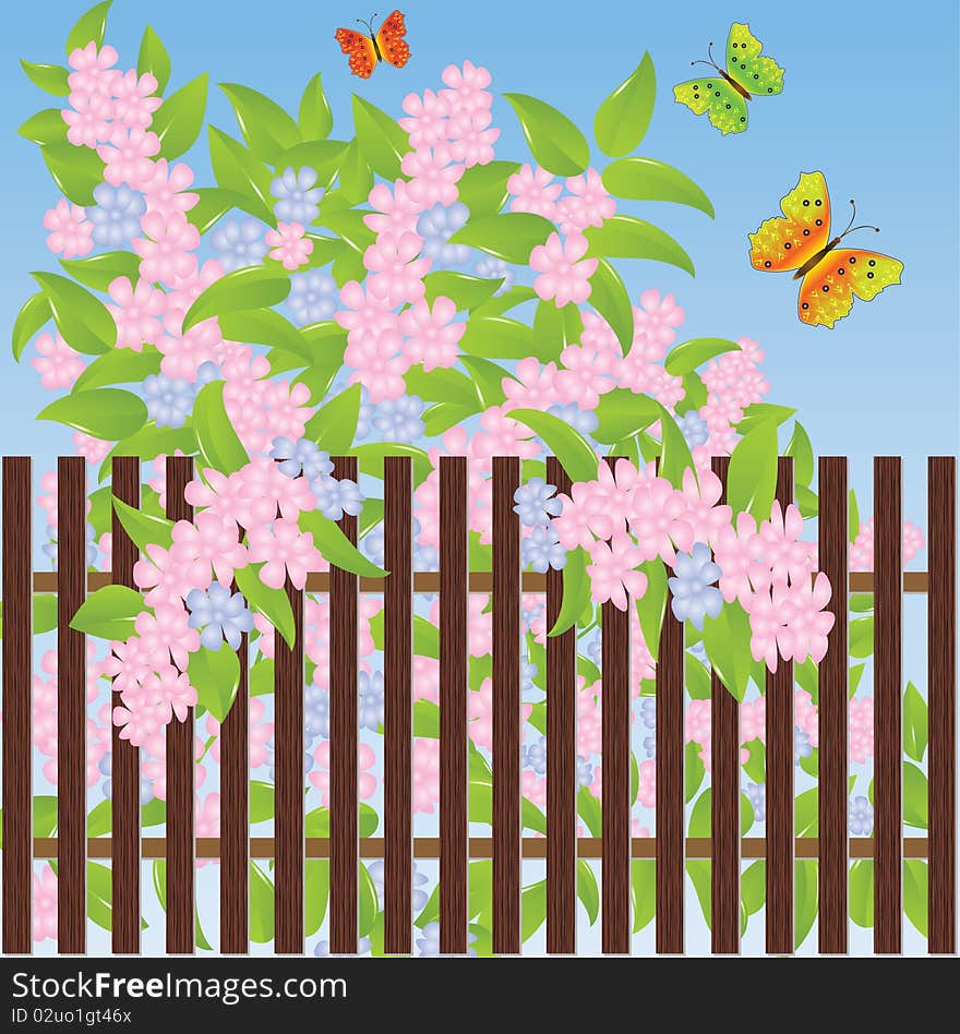 Gentle flowers and multi-colored butterflies. Vector illustration