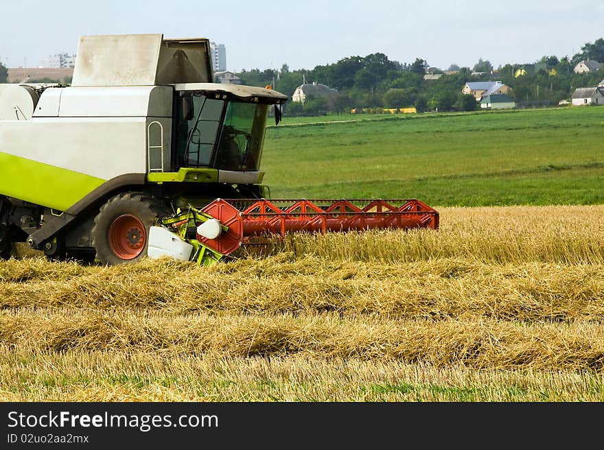 Agricultural field from which have started to clean the grain. Agricultural field from which have started to clean the grain