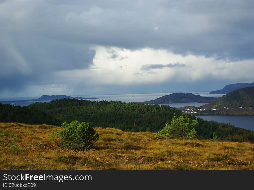 Fjord tree grass green blue sky rain water sea outdor Mountains nature norway norvegian