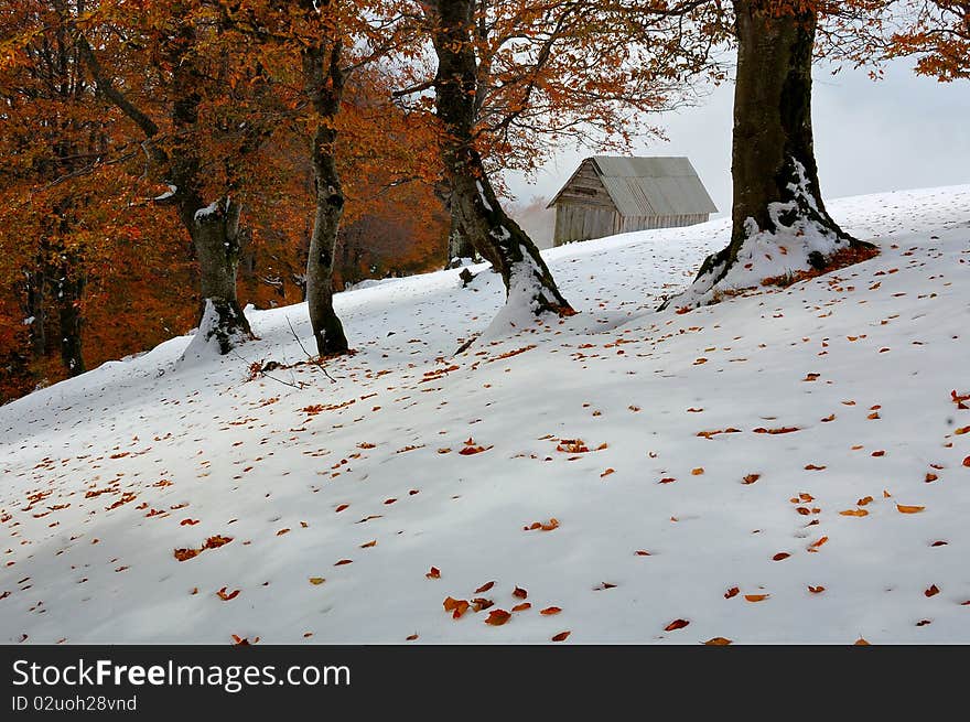 The first snow in mountains