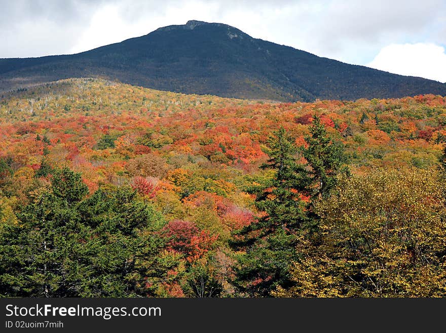 A mountain and the trees under at fall time. A mountain and the trees under at fall time