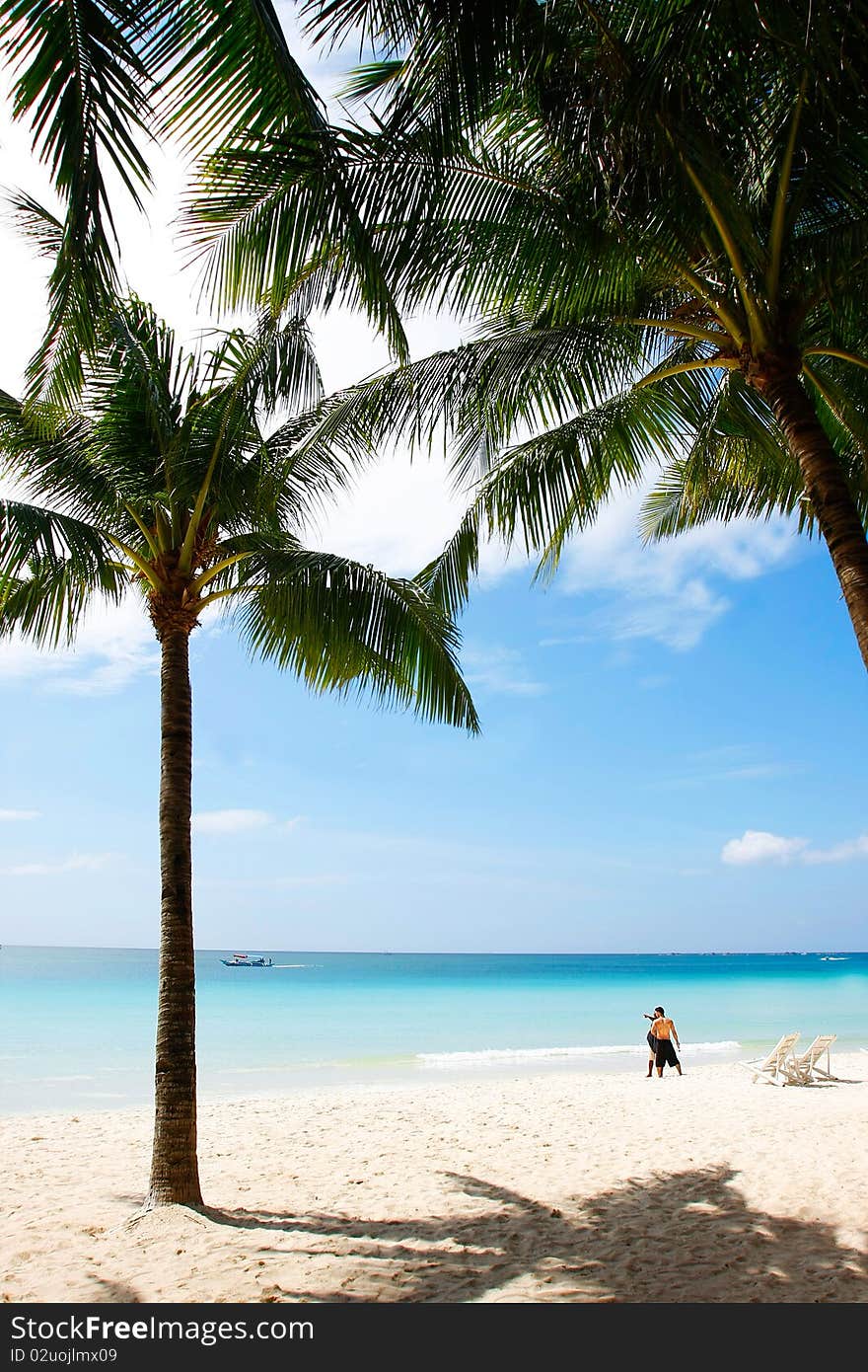 Abstract shot of tropical beach