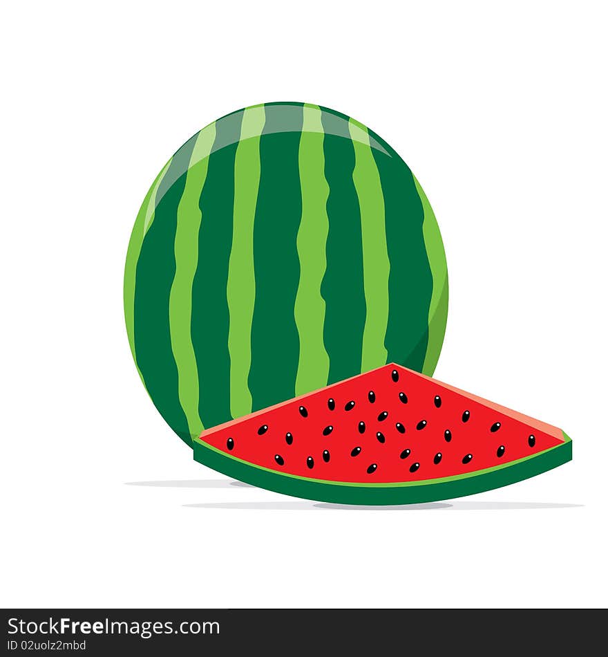 An illustration of a green water melon