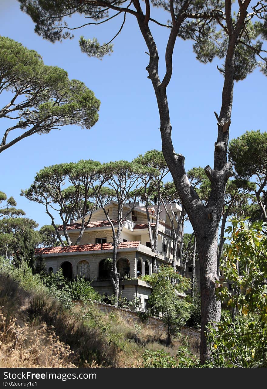 House and a Pine Garden