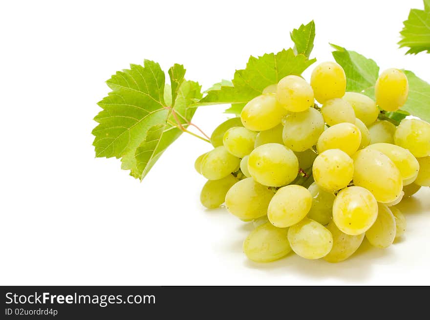 Bunch of grapes with leaves on white background. Bunch of grapes with leaves on white background