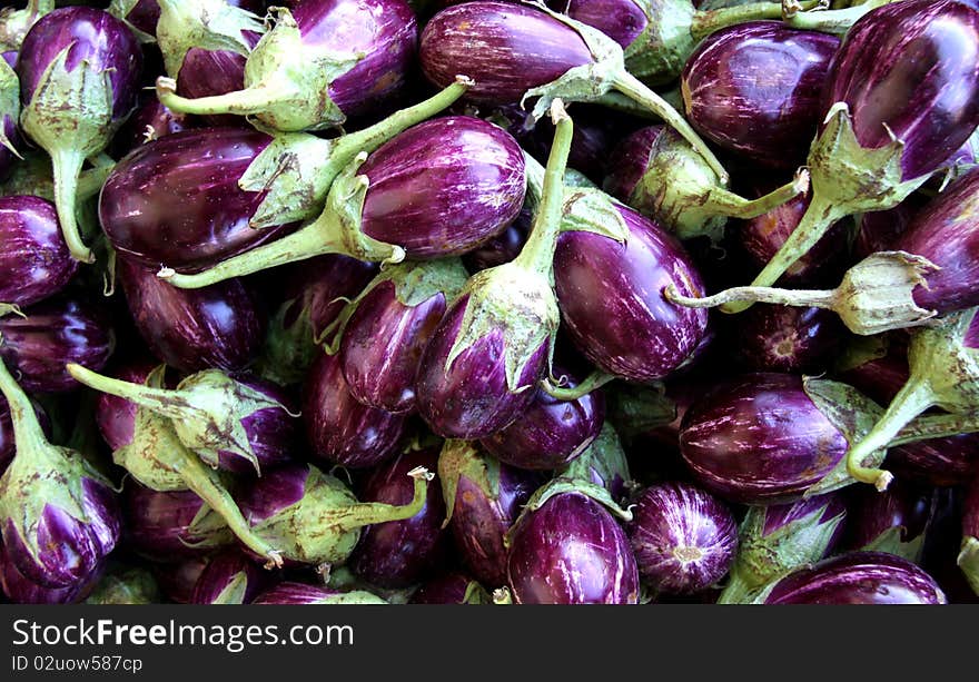 Eggplant Texture