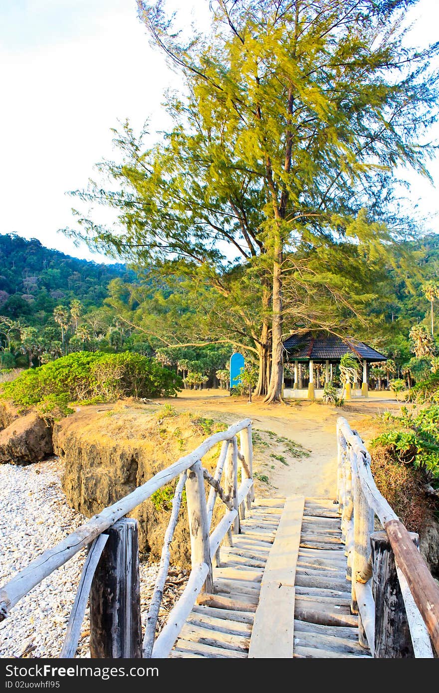 View Pine Wood Bridge Island, Krabi Thailand. View Pine Wood Bridge Island, Krabi Thailand