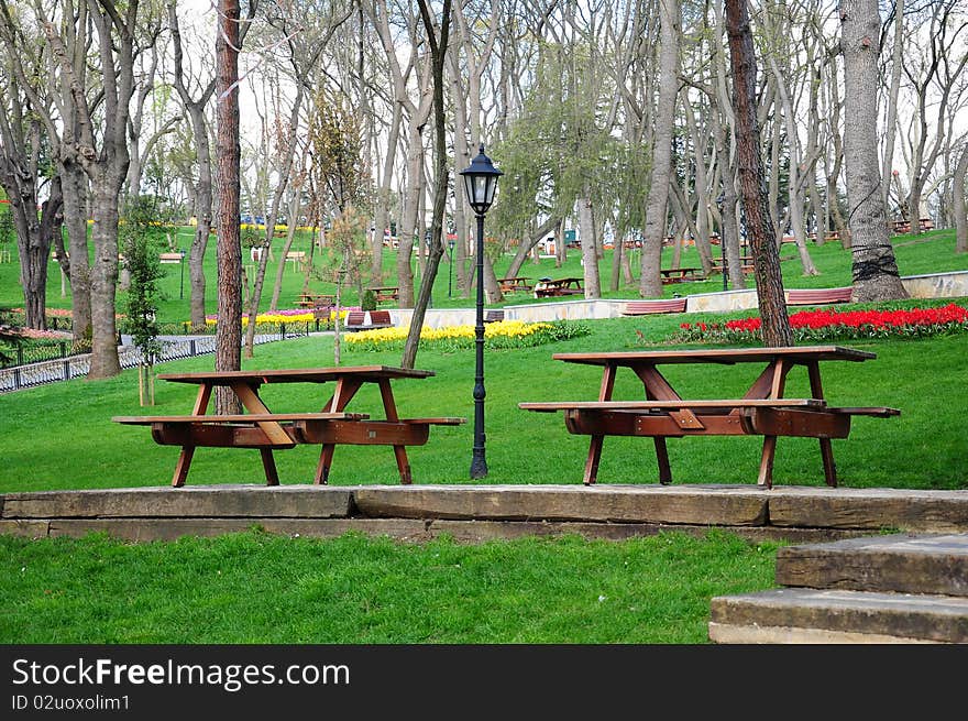 wooden picnic tables in a park