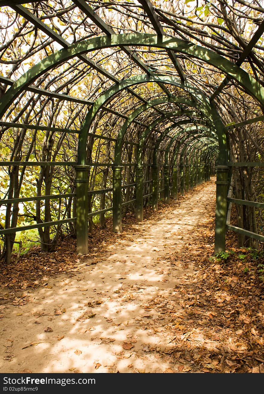 Trellis arches, Arkhangelskoe