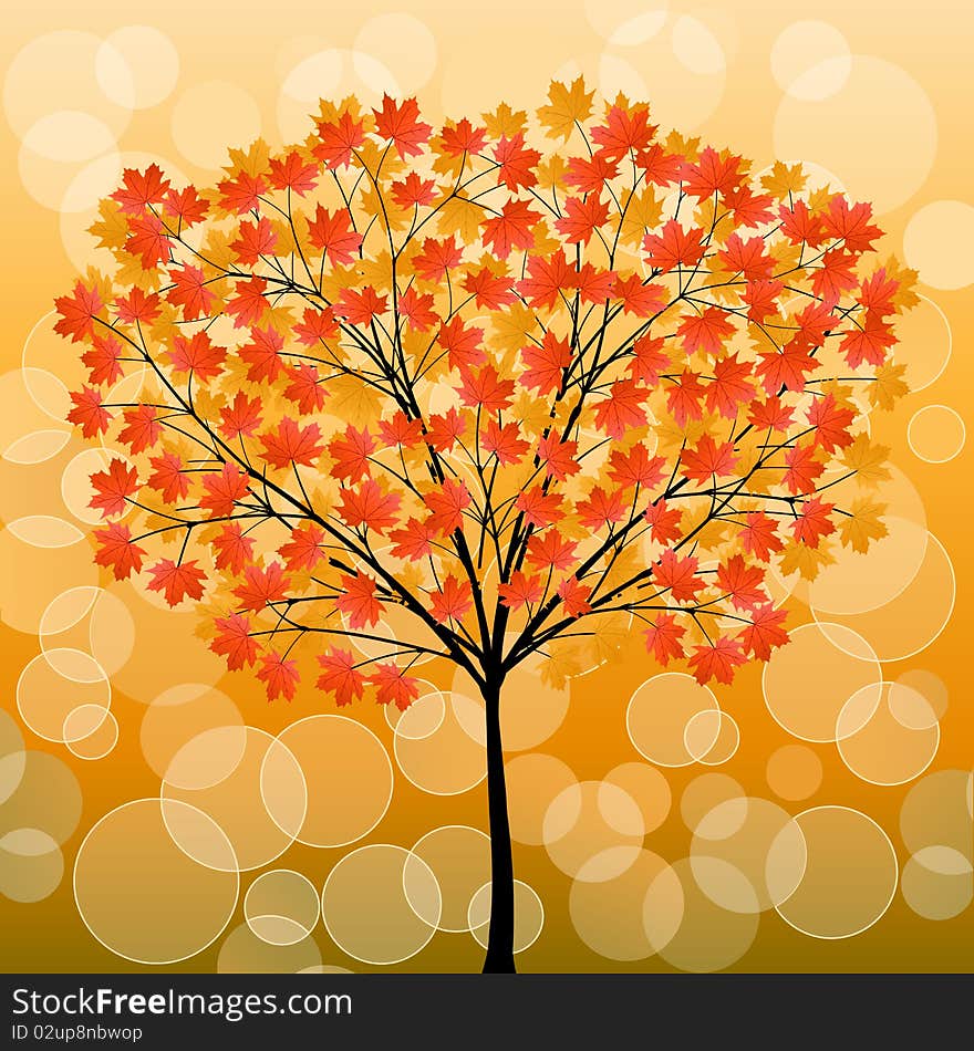 Autumn Tree