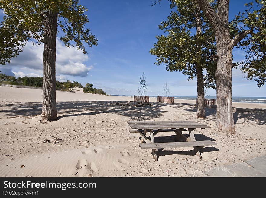 Picnic Area at Dunes State Park