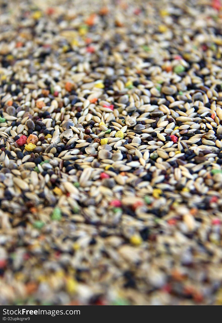 Birds food with blurry background and foreground. Birds food with blurry background and foreground