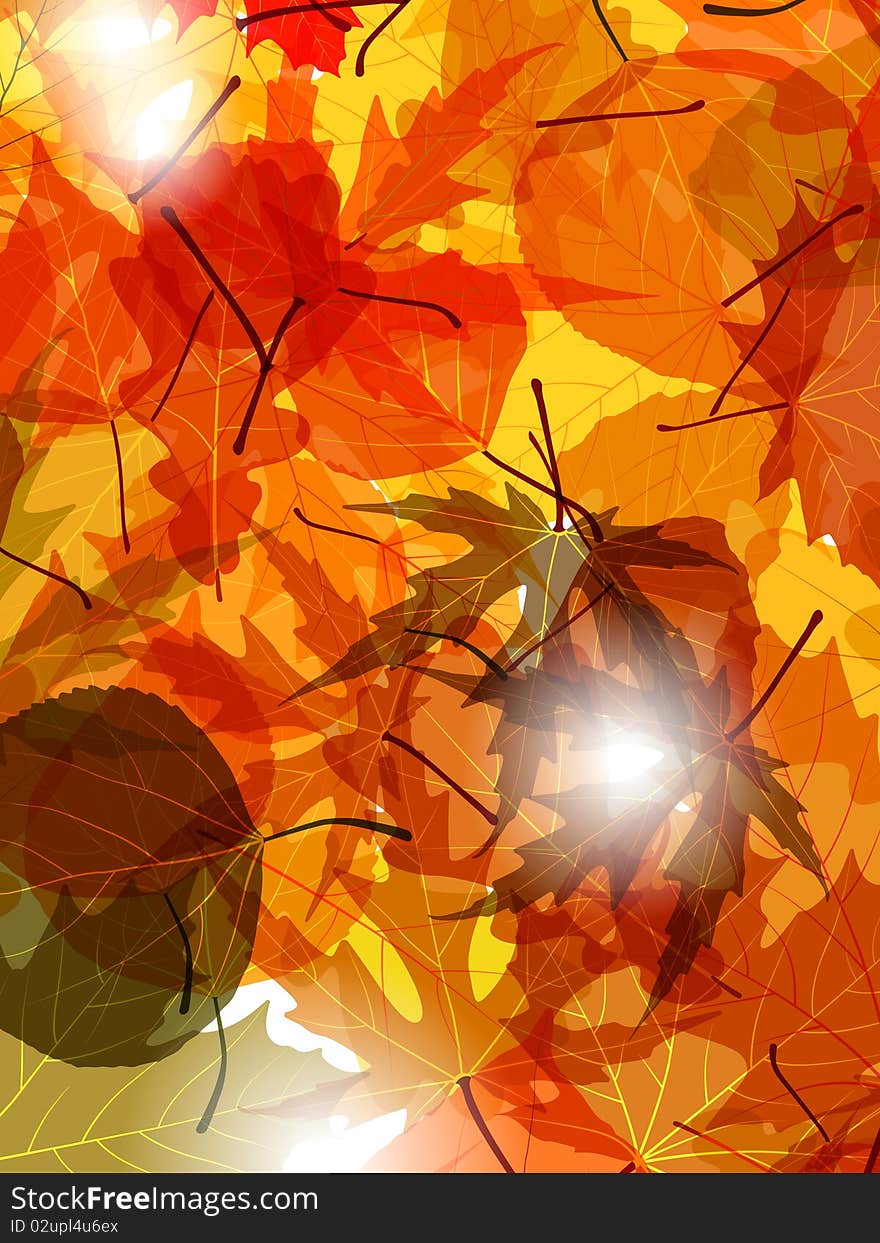 Light through autumn leaves. EPS 8  file included