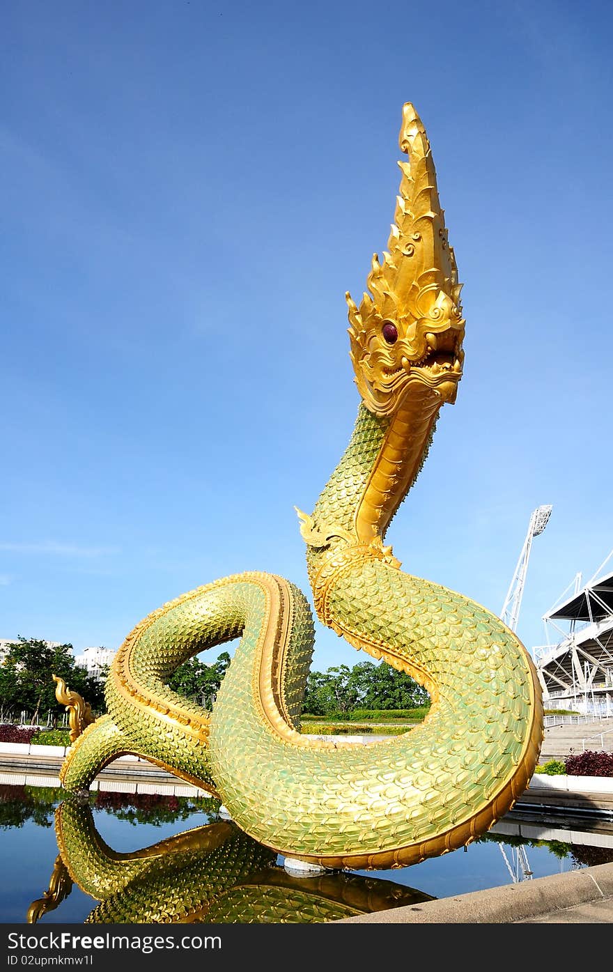 Serpent head into the pond in Thailand. Serpent head into the pond in Thailand