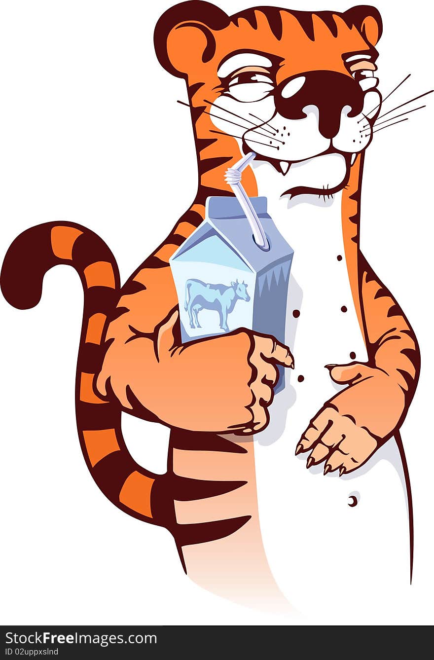 Sly tiger drinking milk from the pocket.