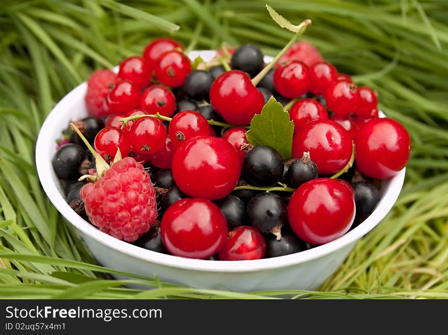 Mixed Summer Berries