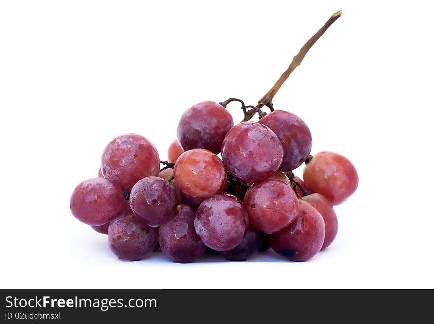 Branch of rose wine grapes, isolated on white background