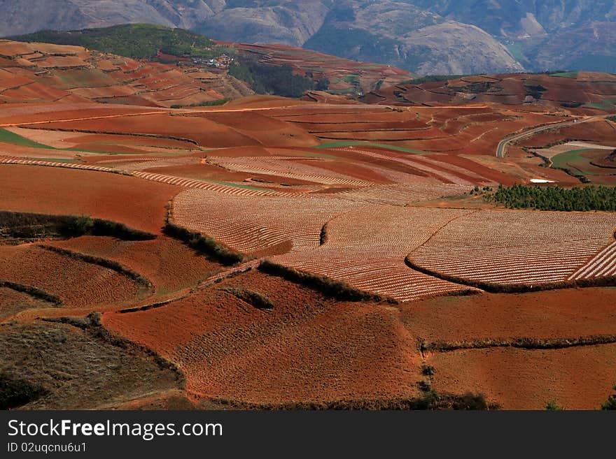 West Of China