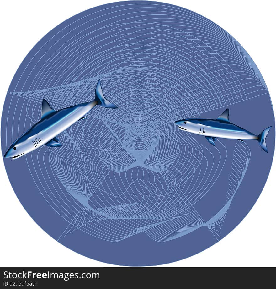 Two sharks in the blue circle