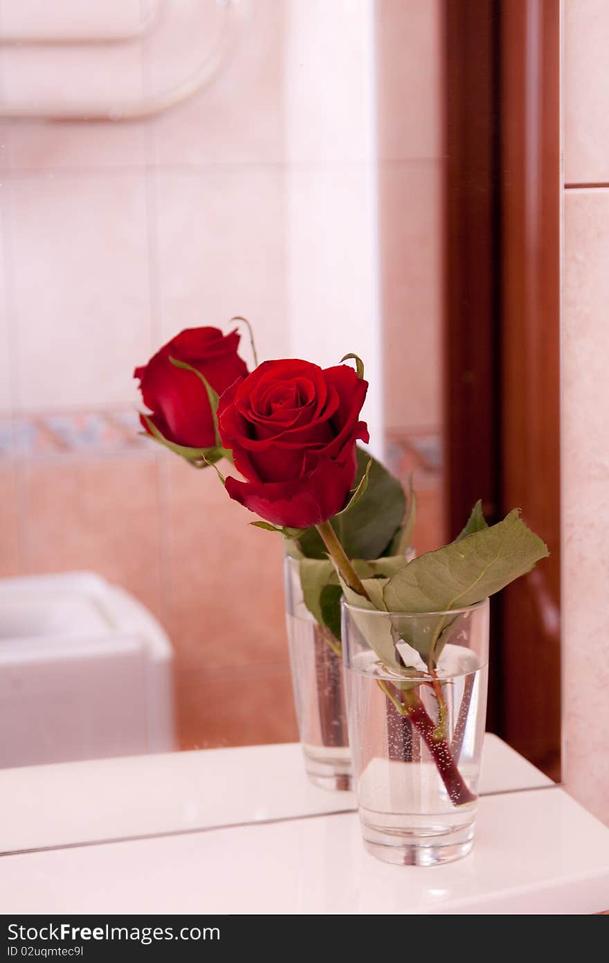 Rose on mirror shelf in bathroom