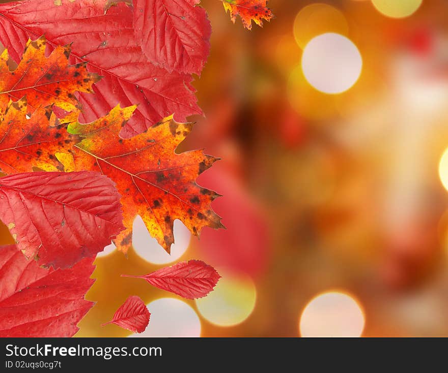 Falling leaves with blur shiny background. Falling leaves with blur shiny background