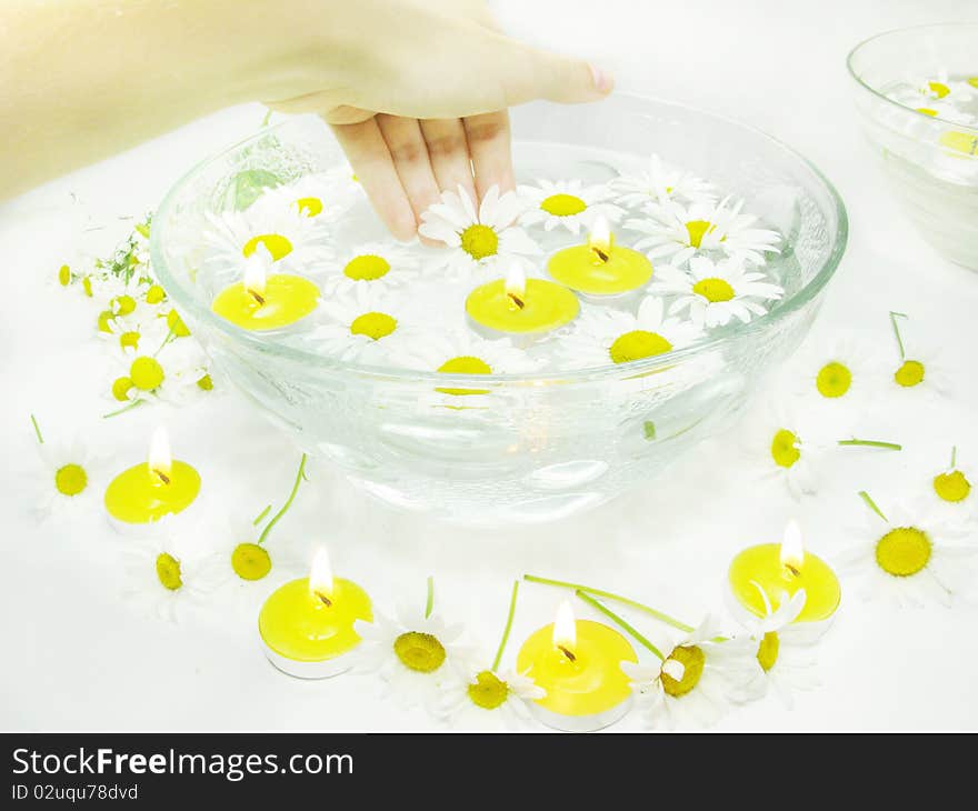 Hand in plate with candles water for spa with daisy flowers. Hand in plate with candles water for spa with daisy flowers