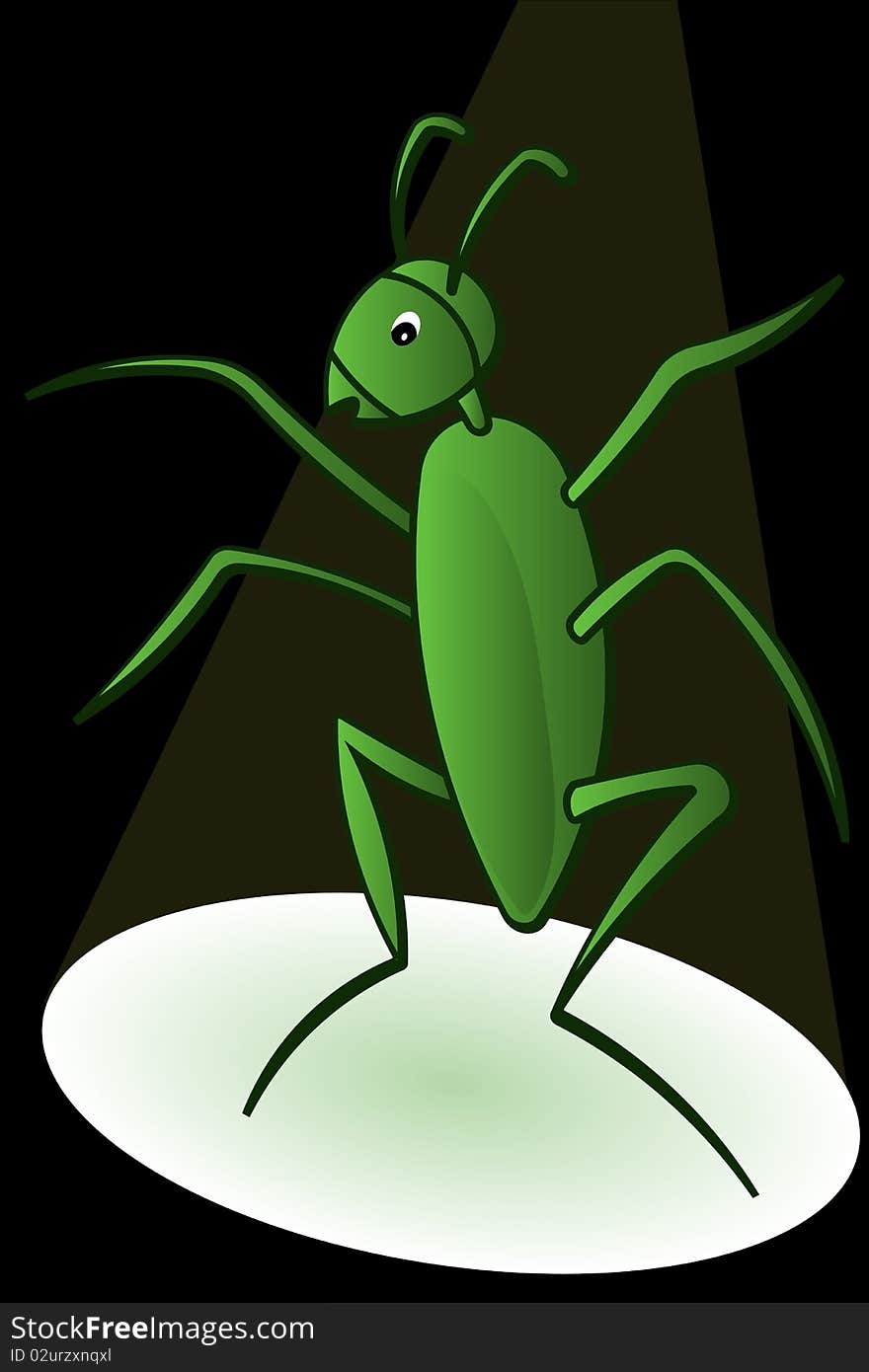 Graphic illustration of Dancing Bug