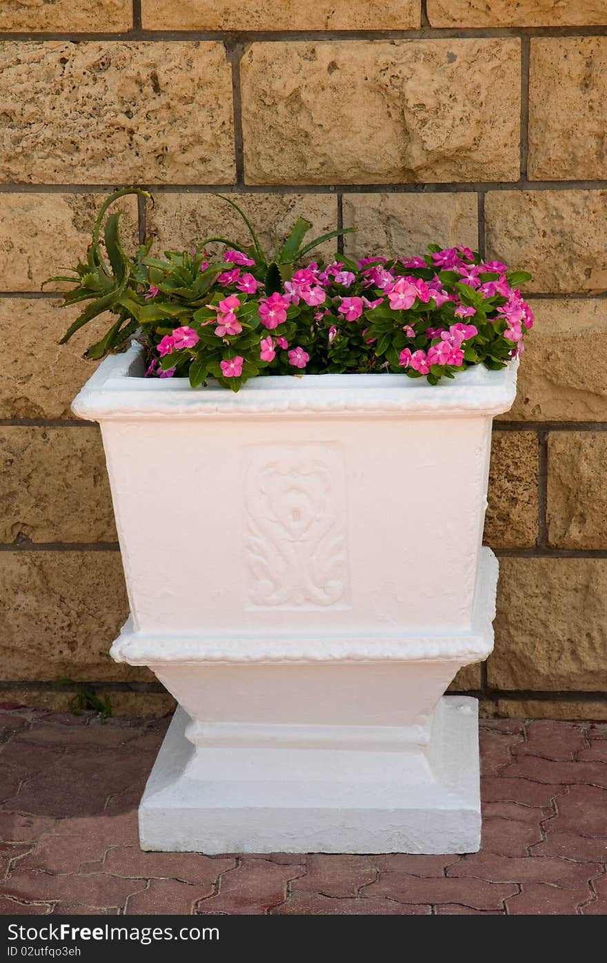 Large pot with pink flowers.