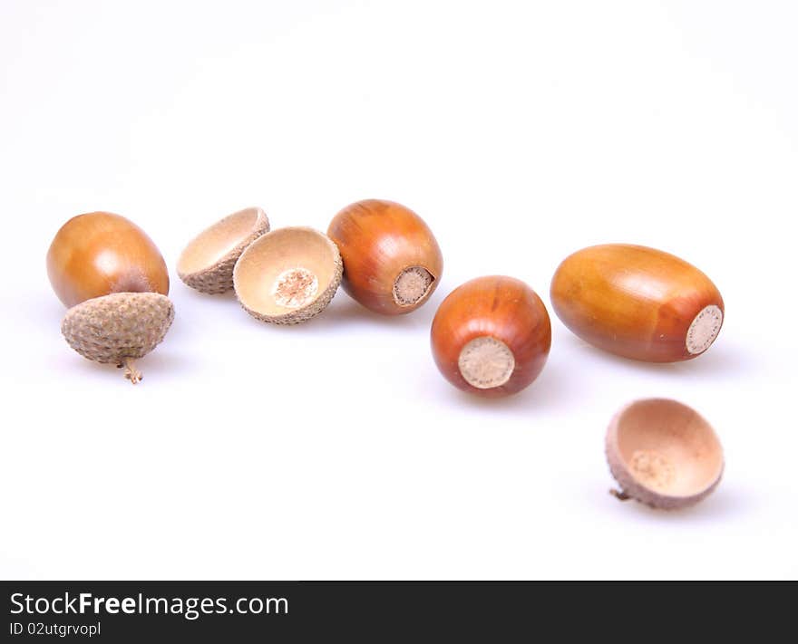 Ripe  ripe acorns lie on a table. Ripe  ripe acorns lie on a table