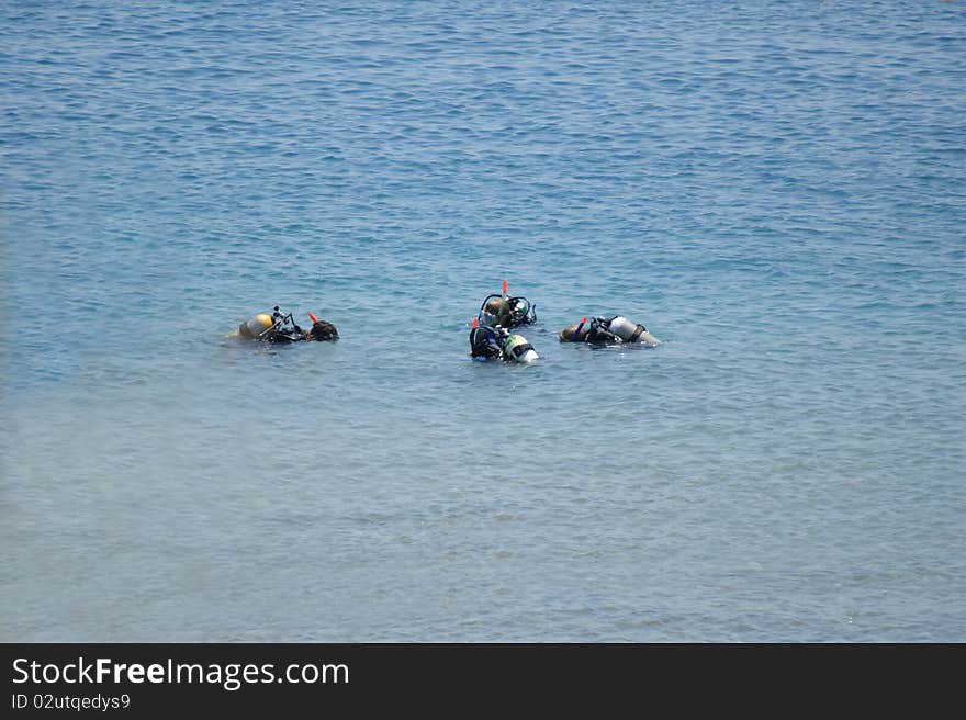 Four divers in the sea