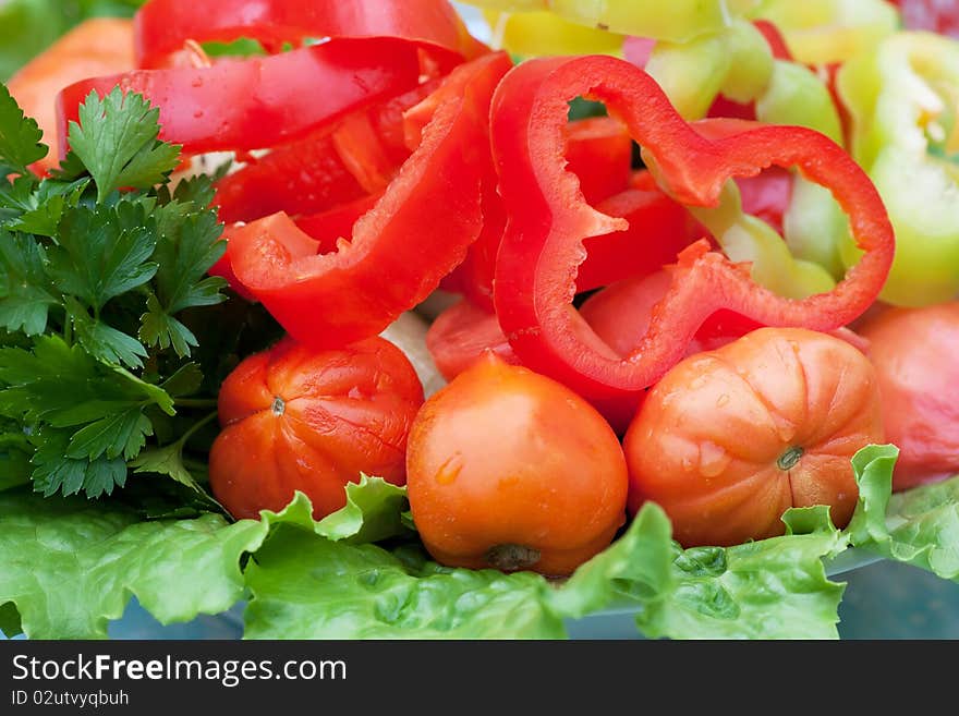 Healthy vegetables (pepper, tomato, lettuce, parsley) on a plate.