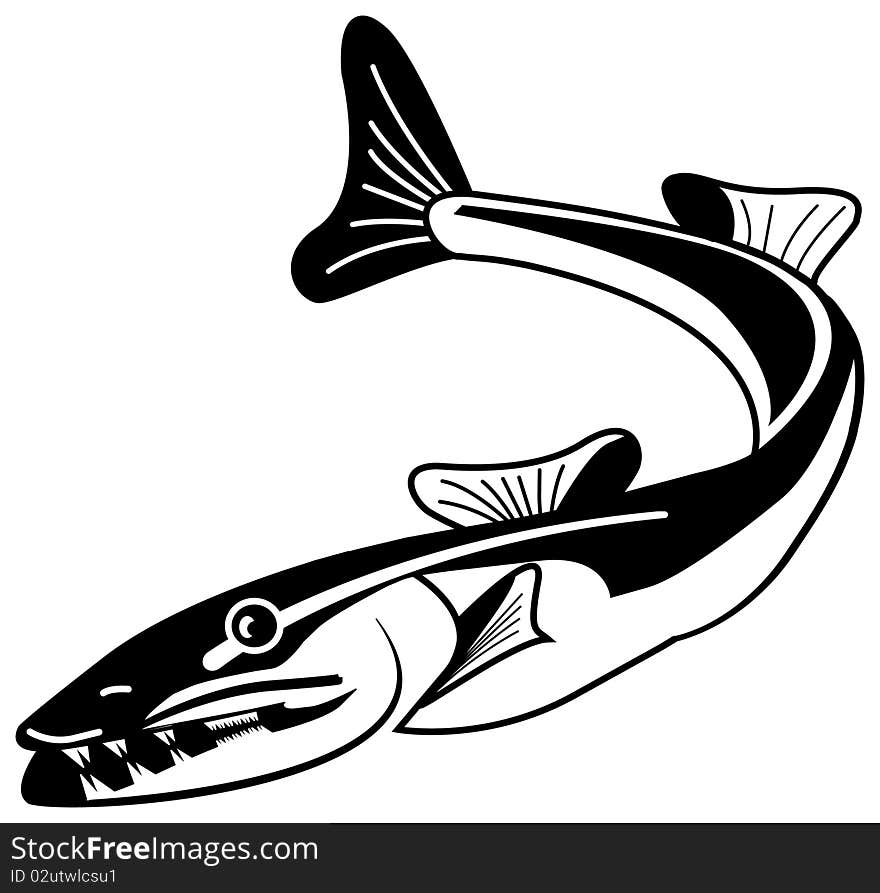 Black and white illustrations of fish. Black and white illustrations of fish