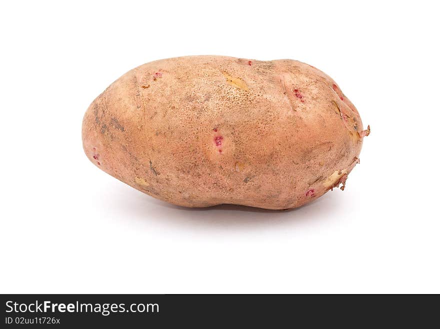 Potato