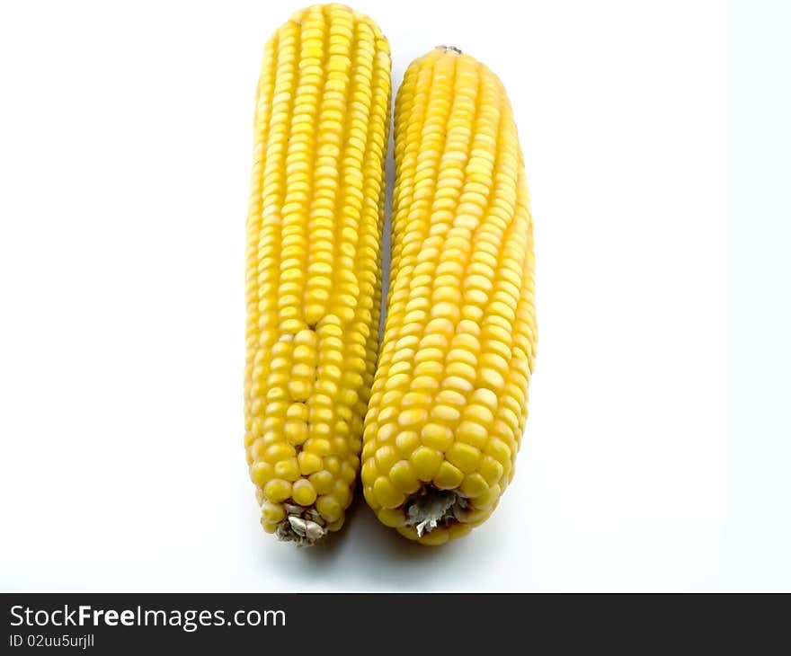 Two ears of corn are the friend near the friend