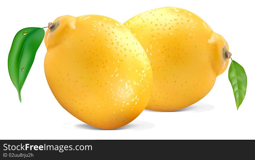 Fresh lemons on a white background