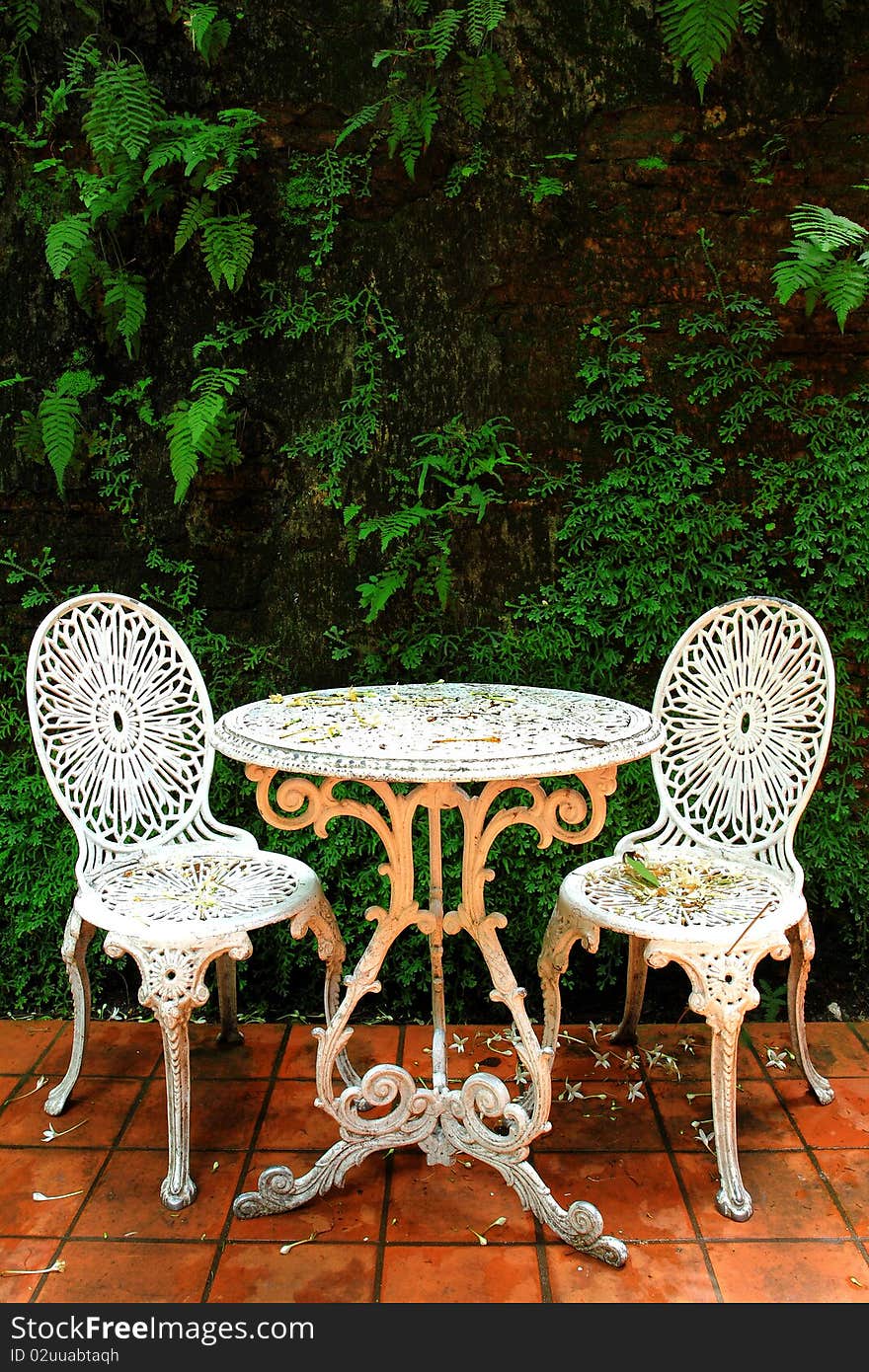 Two white chairs in beautiful garden