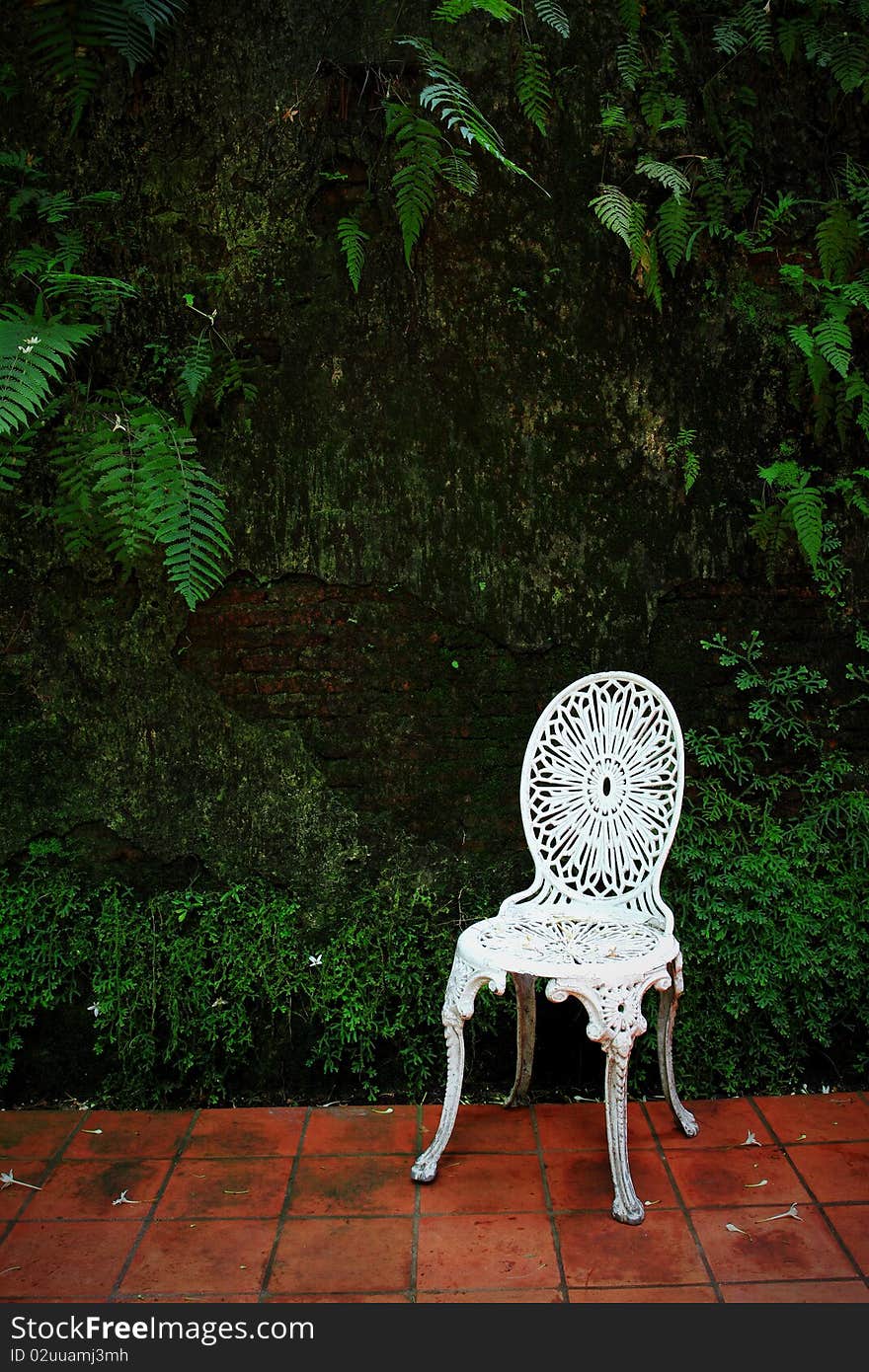 White chair in beautiful garden